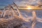 Warm Sunset Light Falls On The Grasses And Ponds Of The Tundra On Barter Island In Alaskas Arctic. Art Print
