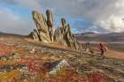 Hiker Among The Tors In The Bering Land Bridge National Preserve, Seward Peninsula, Alaska. Art Print