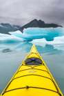 Sea Kayaking Among Icebergs In Bear Glacier Lagoon, Kenai Fjords National Park, Alaska. Art Print