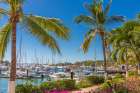 North America, Mexico, Nayarit, Bahia De Banderas, Nuevo Vallarta. Boats At Marina. Art Print