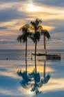 Mexico, Nayarit, Bahia De Banderas, Nuevo Vallarta. Palm Trees Reflected In Infinity Pool. Art Print