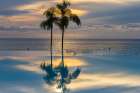 Mexico, Nayarit, Bahia De Banderas, Nuevo Vallarta. Palm Trees Reflected In Infinity Pool Art Print