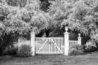 Black And White, Garden Gate, Delaware, USA Art Print