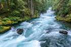 Mckenzie River Rapids Below Sahalie Falls, Oregon Cascade Range, Willamette National Forest Art Print