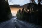 USA, Wyoming, Yellowstone National Park. Sunrise Mist On Road And Forest. Art Print