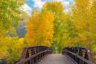 USA, Colorado, San Juan Mountains. Bridge With Lights Over Henson Creek In Autumn. Art Print