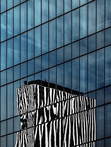 the zebra neighbor Abstract Art Print