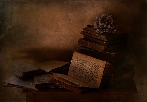 Old books Art Print
