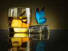 Butterfly Drink Art Print