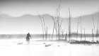 Fishing in a misty morning Art Print