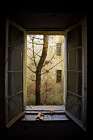 Autumn in asylum Art Print