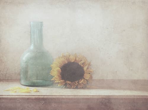 Sunflower Art Print