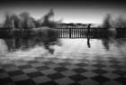 THE CHESSPLAYER Coastal Print