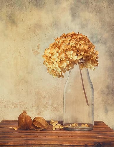 Warm Glow Art Print