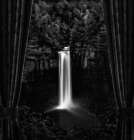 Musing through my Window ... Art Print