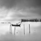 Shades of Gray Art Print
