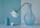 Out of the Vase Minimalist Print