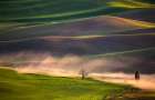 Sunset in Palouse Art Print