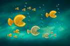 Fish in the Sea Art Print