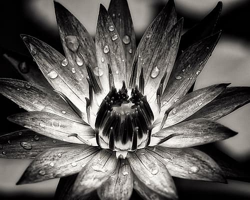 the furnace [D0811-101.2] Art Print
