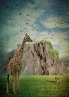 Giraffe and Jackal Art Print
