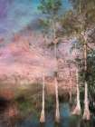 Everglades Art Print