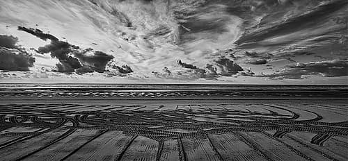 Beach Art Coastal Print