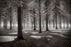 The Onset Of Winter Art Print