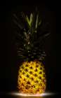 Pineapple Art Print