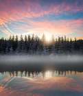 Small lake in the forest Art Print