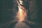 mysterious way Art Print