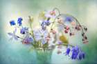 Spring Treasures Art Print