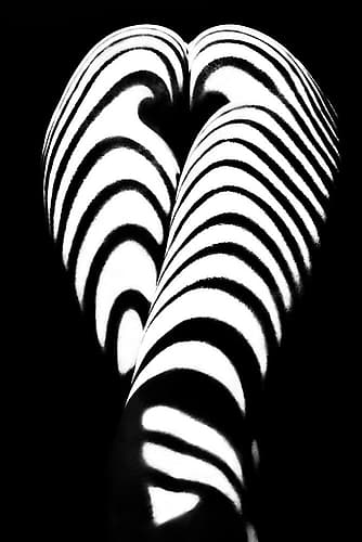 Zebra Ass 2 Art abstrait reproduction