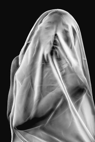 Life Behind The Veil Art Print