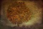 Autumn Tree Art Print