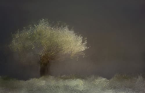 Willow Landscape Print