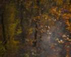 Autumn Impression Art Print