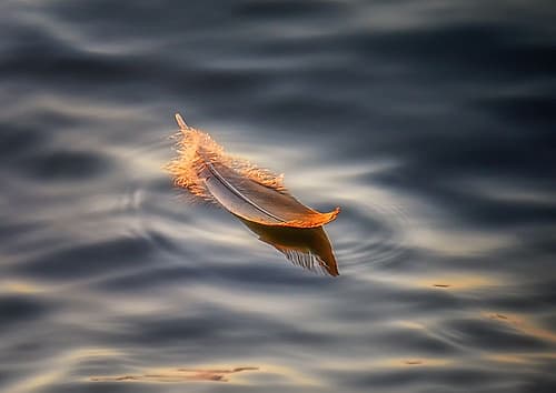 Floating Art Print by Larry Deng