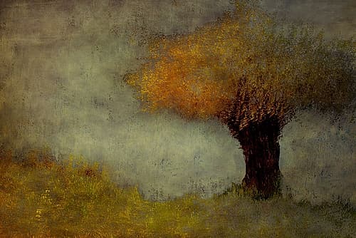 Willow Landscape Print