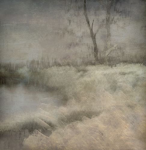 Little Ven Landscape Print