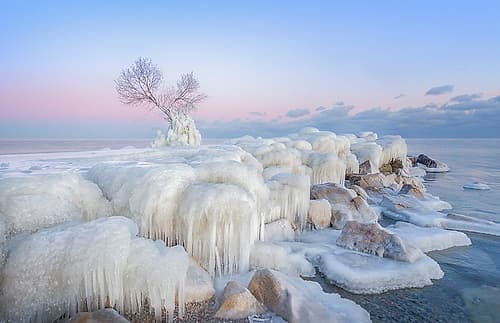 Ice Wonderland Coastal Print