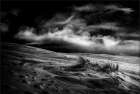 marram grass Art Print
