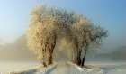 Winter  gateway Art Print