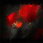 fireworks in nature Art Print
