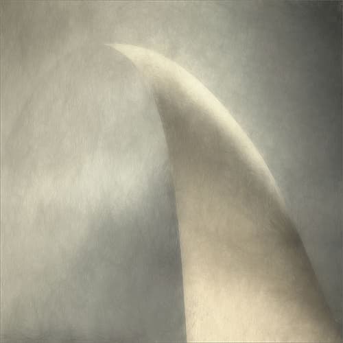 Arco Doro Art Print