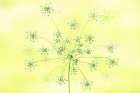 Queen AnneS Lace Art Print