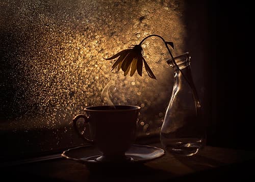 Turning Seasons Art Print