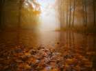 AUTUMN FLOODING Art Print