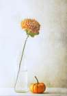 Autumn Flower Art Print