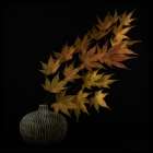 Still life Art Print